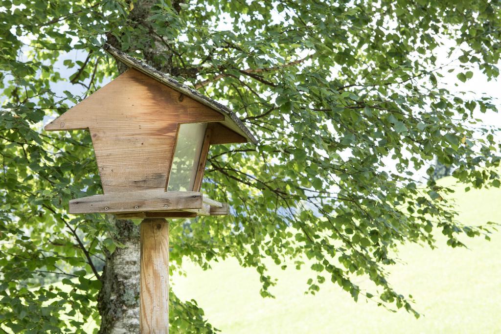 Ferienhaus Sara Bad Kleinkirchheim Exteriör bild